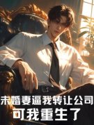 未婚妻逼我转让公司，可我重生了最新章节免费阅读（完整版未删节）