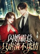 闪婚霸总，只虐渣不谈情章节 闪婚霸总，只虐渣不谈情小说目录阅读