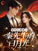 《重生后，我成了秦先生的白月光》苏羡音秦景阳章节在线试读 第6章