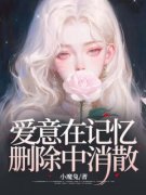 爱意在记忆删除中消散小说阅读 爱意在记忆删除中消散小说苏梨陆瑾时