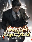 净身出户，归来已无敌小说全集免费在线阅读（林小莫白若雪丁凯）