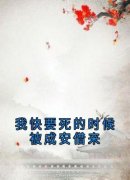 我快要死的时候被成安借来云浮成安小说精彩章节篇免费试读