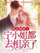 宁安陆慎川全文免费阅读 陆总别虐了，宁小姐都去相亲了小说《宁安陆慎川》