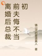 离婚后总裁前夫悔不当初颜轻语江经年裴沉小说免费试读