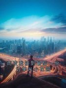 雨夜我接到最后一份订单从小花园墨默陆雨馨小说全本在线阅读
