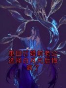 周诗语沈傅辰重回订婚前老公选择白月光后悔疯了小说精彩章节篇免费试读
