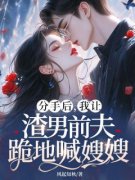 分手后，我让渣男前夫跪地喊嫂嫂阮颖靳薄凉目录_分手后，我让渣男前夫跪地