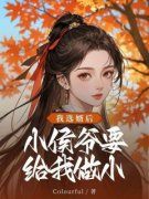 《我选婿后，小侯爷要来给我做小了》晚宁聂子青小说最新章节目录及全文精彩