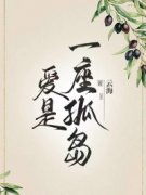 《陆修远盛知晴》爱是一座孤岛全文精彩阅读