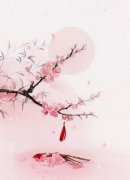 卫扶镇北侯雅和公主卫扶龙引免费在线免费试读