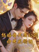 《林落顾慎卿》完结版精彩阅读 《