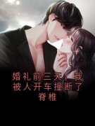 婚礼前三天，我被人开车撞断了脊椎陆宴许如烟林枫小说阅读 婚礼前三天，我