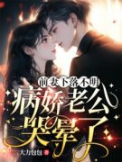 南嫣厉邢精彩章节小说免费试读地址 主角前妻下落不明，病娇老公哭晕了