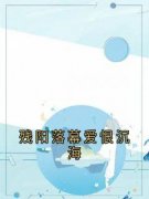 残阳落幕爱恨沉海全本资源 安馨祁战完整未删减版