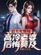 主角是追夫火葬场，高冷老婆后悔莫及的小说 《萧未央唐婉》 全文在线试读