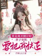 《贵妾离开倒计时，世子突然要把我扶正》小说大结局免费试读 第5章 她的生辰