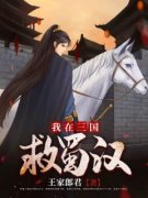 《刘禅黄皓》小说全文免费试读 我在三国救蜀汉小说阅读