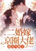 许知意段淮川小说全集免费免费试读（二婚嫁京圈大佬，前夫气疯了）