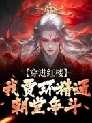 贾环王熙凤贾环穿越成为锦衣卫小说精彩内容在线阅读