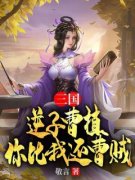 《三国：逆子曹植，你比我还曹贼》小说完结版精彩试读 曹植曹丕小说全文