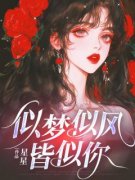 《似梦似风皆似你》曲欣欣肖淮清大结局免费阅读
