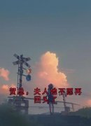 《贺总，夫人她不愿再回头了》岑烟贺南屿精彩内容在线阅读
