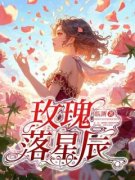 林亦玫陆北辰完整版 玫瑰落星辰全章节阅读