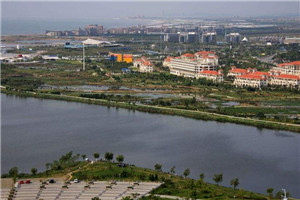 杨帆苏清颜（自食其力）精彩试读